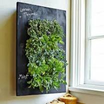 http://www.williams-sonoma.com/products/chalkboard-wall-planter/